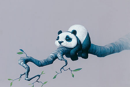 Hoofdafbeelding Panda