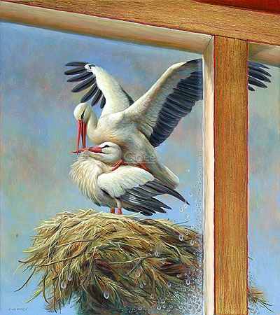 Hoofdafbeelding Ooievaars op nest