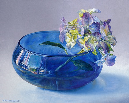 Hoofdafbeelding Hortensia in blauw glas