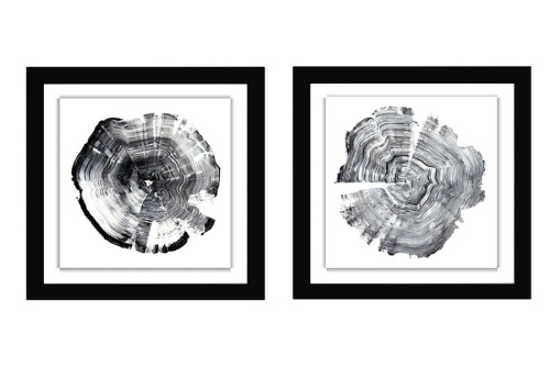 Tree Ring Abstract set - Ethan Harper
