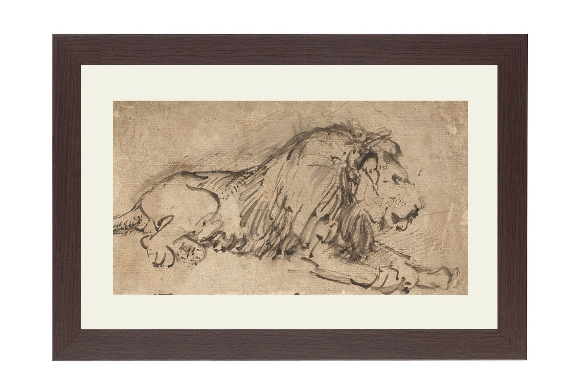 Hoofdafbeelding Liggende leeuw | Rembrandt van Rijn