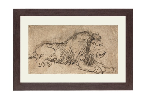 Liggende leeuw | Rembrandt van Rijn
