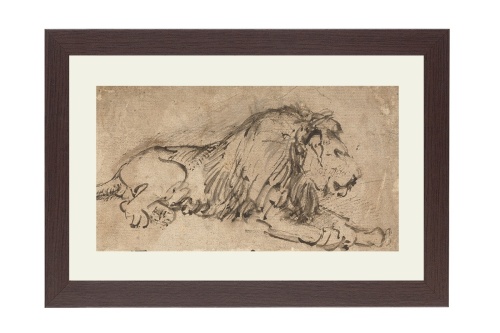 Liggende leeuw | Rembrandt van Rijn