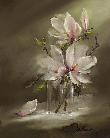 Hoofdafbeelding Magnolia