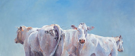 Hoofdafbeelding Twee koeien en een stier