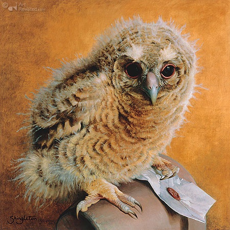 Hoofdafbeelding Tawny owl chick